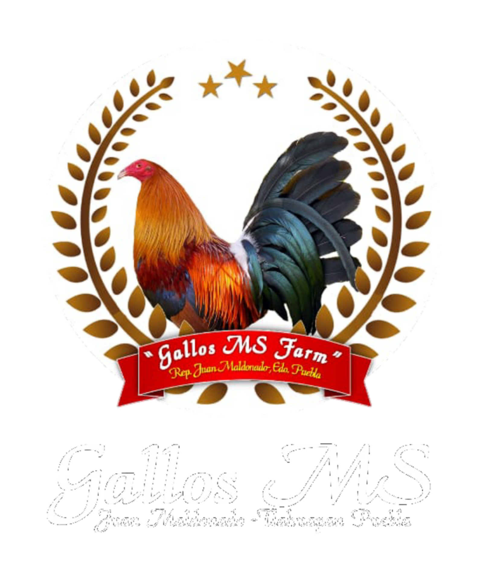 Logo de Gallos MS